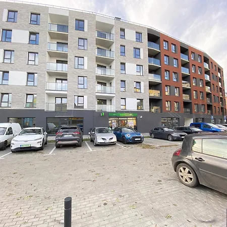 Szarotki * Szczecin